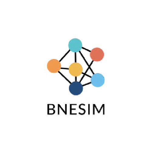 Bnesim